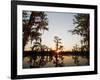 Caddo Lake at Sunrise, Marion Co., Texas, Usa-Larry Ditto-Framed Photographic Print