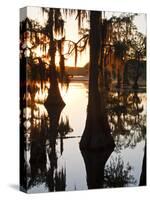 Caddo Lake at Sunrise, Marion Co., Texas, Usa-Larry Ditto-Stretched Canvas