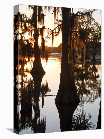 Caddo Lake at Sunrise, Marion Co., Texas, Usa-Larry Ditto-Stretched Canvas