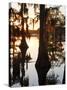 Caddo Lake at Sunrise, Marion Co., Texas, Usa-Larry Ditto-Stretched Canvas