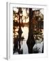 Caddo Lake at Sunrise, Marion Co., Texas, Usa-Larry Ditto-Framed Photographic Print