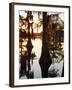 Caddo Lake at Sunrise, Marion Co., Texas, Usa-Larry Ditto-Framed Photographic Print