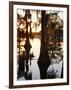 Caddo Lake at Sunrise, Marion Co., Texas, Usa-Larry Ditto-Framed Photographic Print