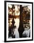 Caddo Lake at Sunrise, Marion Co., Texas, Usa-Larry Ditto-Framed Photographic Print