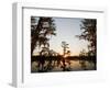 Caddo Lake at Sunrise, Marion Co., Texas, Usa-Larry Ditto-Framed Photographic Print