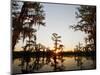 Caddo Lake at Sunrise, Marion Co., Texas, Usa-Larry Ditto-Mounted Photographic Print