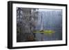 Caddo Lake morning-Larry Ditto-Framed Photographic Print