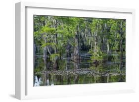 Caddo Lake, Texas, United States of America, North America-Kav Dadfar-Framed Photographic Print