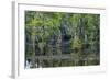 Caddo Lake, Texas, United States of America, North America-Kav Dadfar-Framed Photographic Print