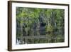 Caddo Lake, Texas, United States of America, North America-Kav Dadfar-Framed Photographic Print