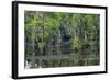 Caddo Lake, Texas, United States of America, North America-Kav Dadfar-Framed Photographic Print