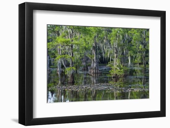 Caddo Lake, Texas, United States of America, North America-Kav Dadfar-Framed Photographic Print