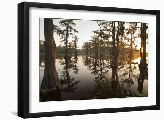 Caddo Lake, Texas, USA-Larry Ditto-Framed Photographic Print