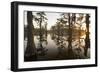 Caddo Lake, Texas, USA-Larry Ditto-Framed Photographic Print