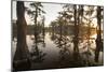 Caddo Lake, Texas, USA-Larry Ditto-Mounted Photographic Print