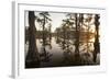 Caddo Lake, Texas, USA-Larry Ditto-Framed Photographic Print