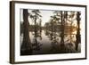 Caddo Lake, Texas, USA-Larry Ditto-Framed Photographic Print