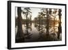 Caddo Lake, Texas, USA-Larry Ditto-Framed Photographic Print