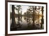 Caddo Lake, Texas, USA-Larry Ditto-Framed Photographic Print