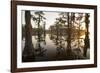 Caddo Lake, Texas, USA-Larry Ditto-Framed Photographic Print