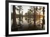 Caddo Lake, Texas, USA-Larry Ditto-Framed Photographic Print