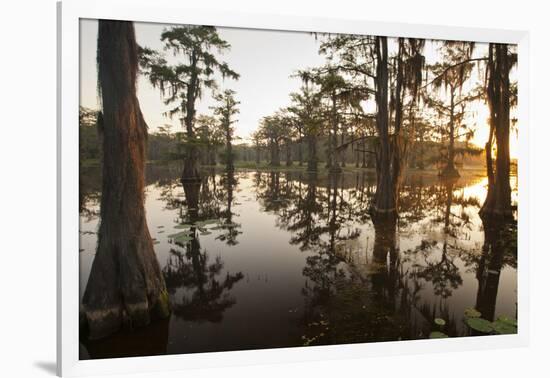 Caddo Lake, Texas, USA-Larry Ditto-Framed Photographic Print