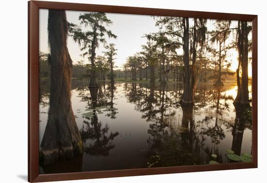 Caddo Lake, Texas, USA-Larry Ditto-Framed Photographic Print