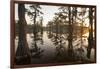 Caddo Lake, Texas, USA-Larry Ditto-Framed Photographic Print