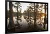 Caddo Lake, Texas, USA-Larry Ditto-Framed Photographic Print