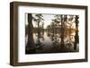 Caddo Lake, Texas, USA-Larry Ditto-Framed Photographic Print