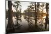 Caddo Lake, Texas, USA-Larry Ditto-Mounted Photographic Print