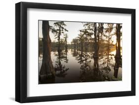 Caddo Lake, Texas, USA-Larry Ditto-Framed Premium Photographic Print