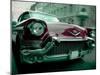 Caddy Daddy-Nathan Wright-Mounted Photographic Print