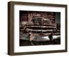 Caddy-Stephen Arens-Framed Photographic Print