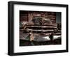 Caddy-Stephen Arens-Framed Photographic Print