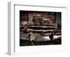 Caddy-Stephen Arens-Framed Photographic Print