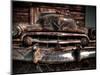 Caddy-Stephen Arens-Mounted Photographic Print