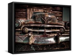 Caddy-Stephen Arens-Framed Stretched Canvas