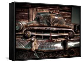 Caddy-Stephen Arens-Framed Stretched Canvas