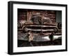 Caddy-Stephen Arens-Framed Premium Photographic Print