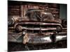 Caddy-Stephen Arens-Mounted Photographic Print