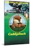 Caddyshack - One Sheet-Trends International-Mounted Poster