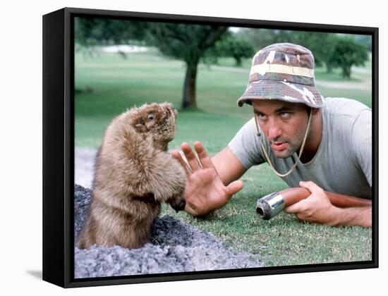 Caddyshack-null-Framed Stretched Canvas