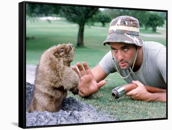 Caddyshack-null-Framed Stretched Canvas