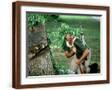 Brown Frame