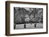 Cade's Cove Cemetery-Dean Fikar-Framed Photographic Print