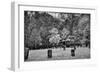 Cade's Cove Cemetery-Dean Fikar-Framed Photographic Print