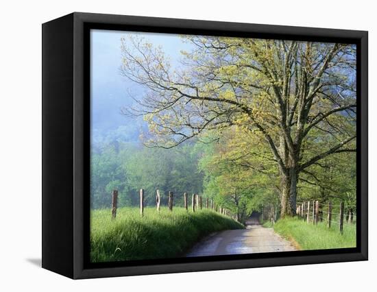 Cades Cove Lane in Great Smoky Mountains National Park-Darrell Gulin-Framed Stretched Canvas