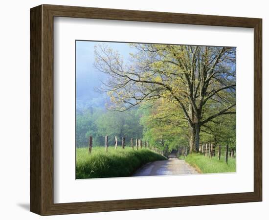 Cades Cove Lane in Great Smoky Mountains National Park-Darrell Gulin-Framed Premium Photographic Print