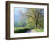 Cades Cove Lane in Great Smoky Mountains National Park-Darrell Gulin-Framed Premium Photographic Print